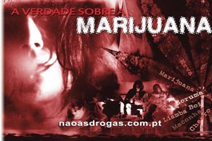 A Verdade sobre a Marijuana