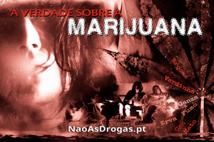A Verdade sobre a Marijuana A Verdade sobre a Marijuana